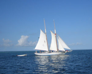 sailboatocean
